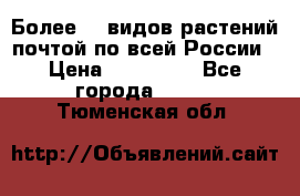 Более200 видов растений почтой по всей России › Цена ­ 100-500 - Все города  »    . Тюменская обл.